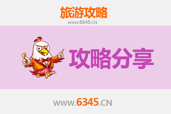 常德津市旅游攻略：跟团与自由行全方位对比